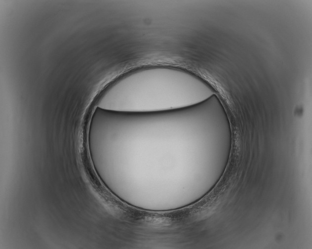 X0000097590582200802290751