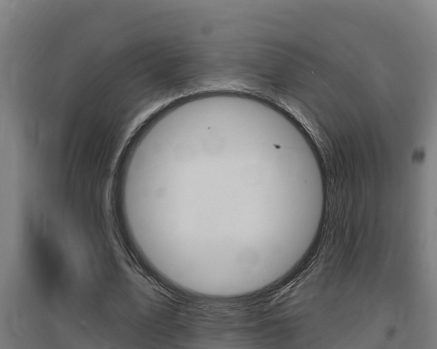 X0000097590583200802290751