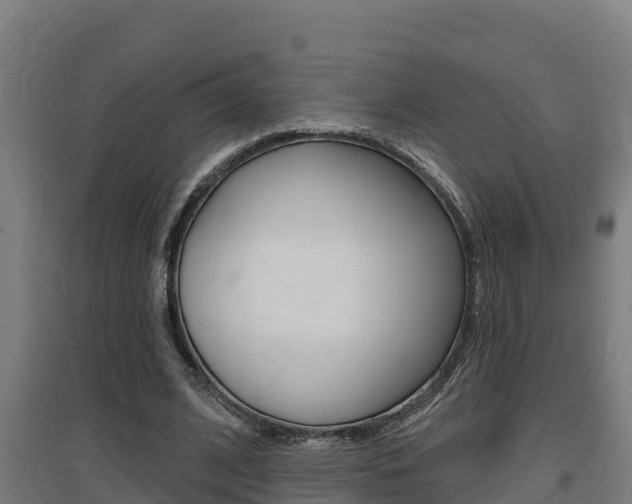 X0000097590584200802290751