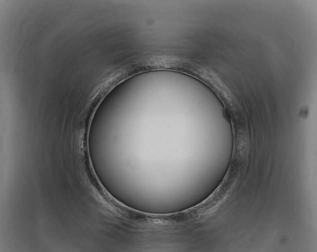 X0000097590585200802290751