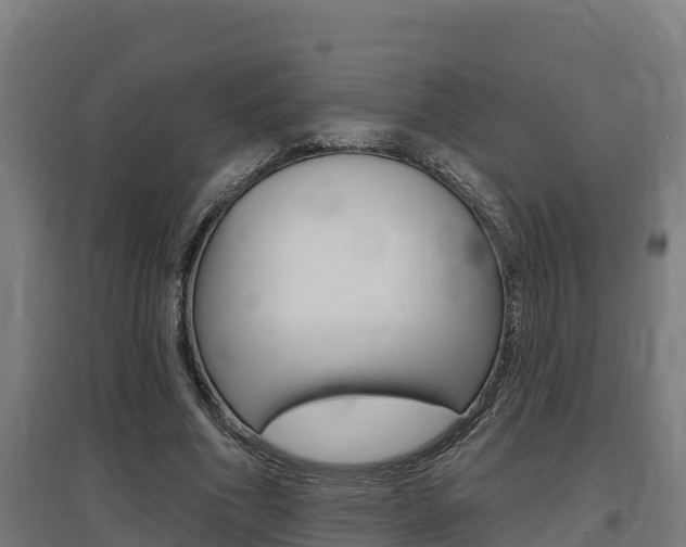 X0000097590586200802290751