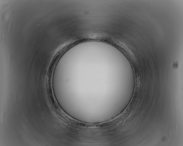 X0000097590587200802290751