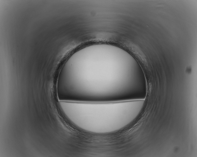 X0000097590588200802290751