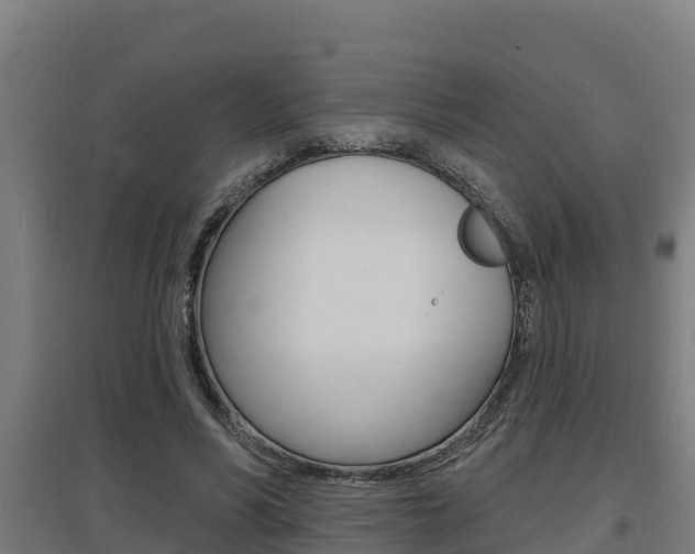 X0000097590590200802290751