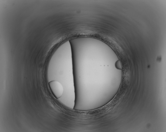 X0000097590591200802290751