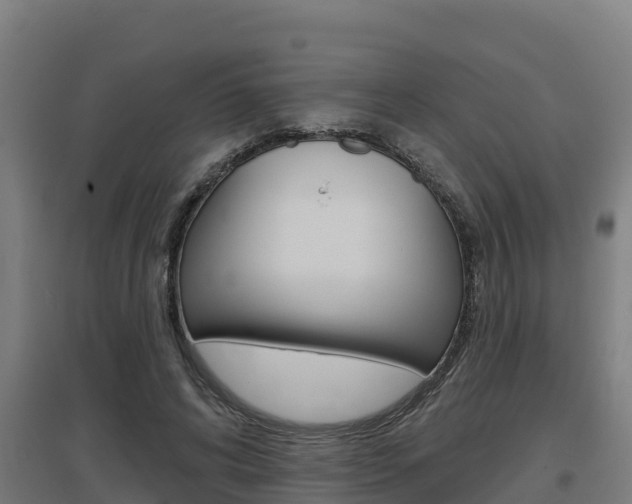 X0000097590592200802290751