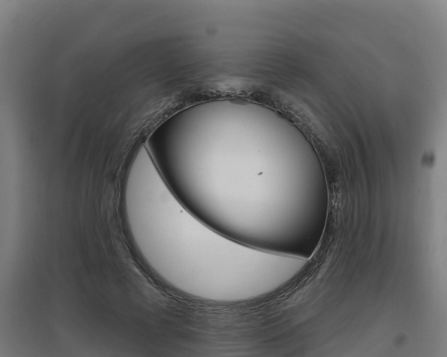 X0000097590593200802290751