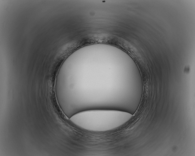 X0000097590594200802290751
