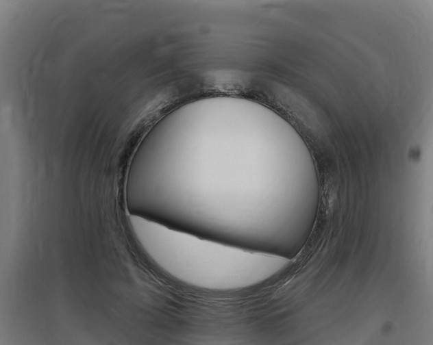 X0000097590595200802290751
