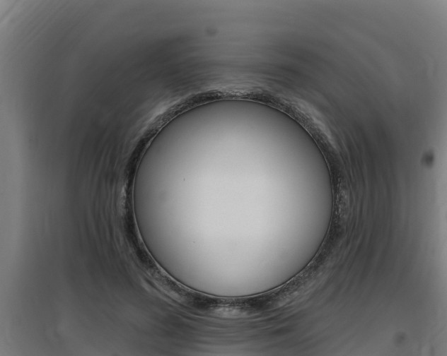 X0000097590596200802290751