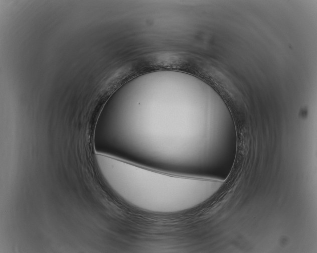 X0000097590597200802290751