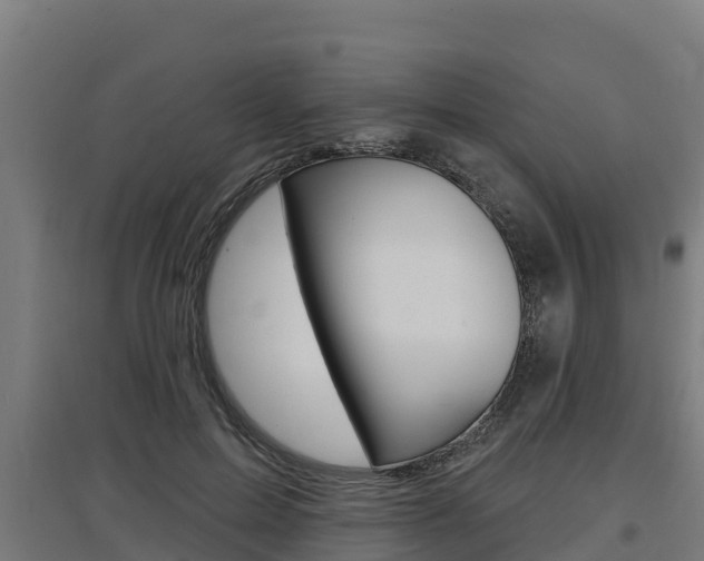 X0000097590599200802290751