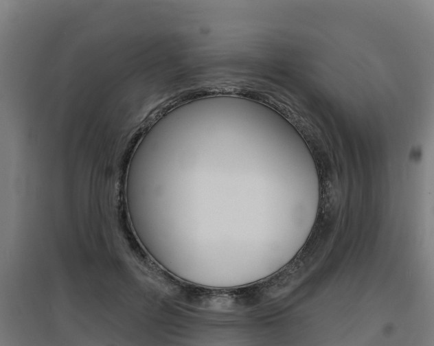 X0000097590600200802290751