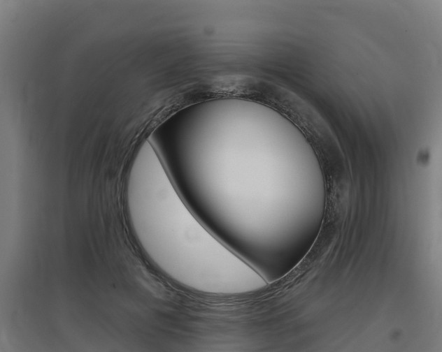 X0000097590601200802290751
