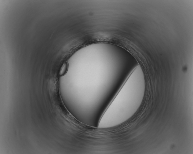 X0000097590604200802290751