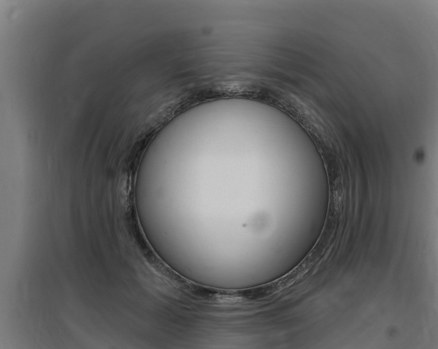 X0000097590605200802290751