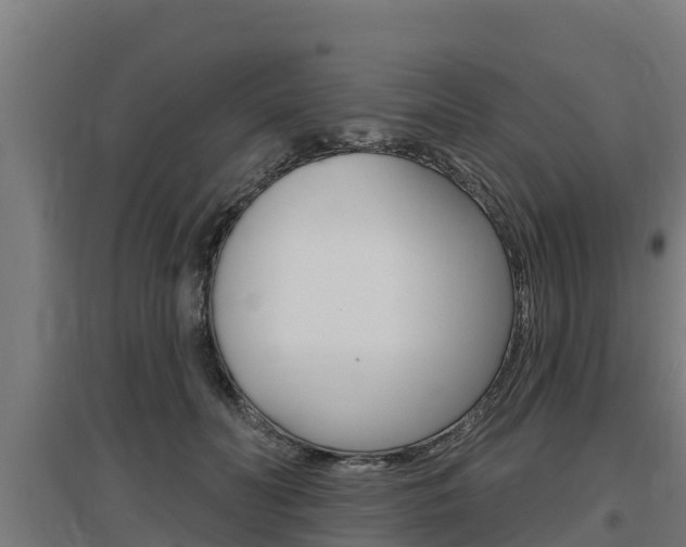 X0000097590606200802290751