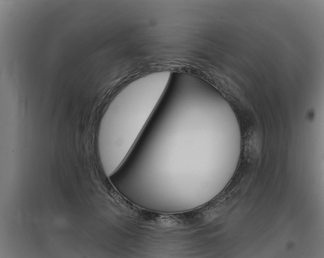 X0000097590608200802290751