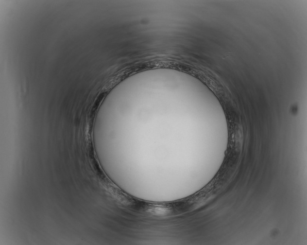 X0000097590610200802290751