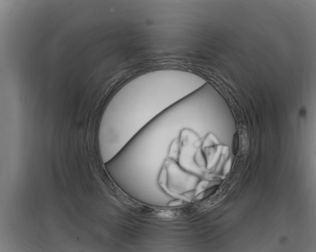 X0000097590611200802290751