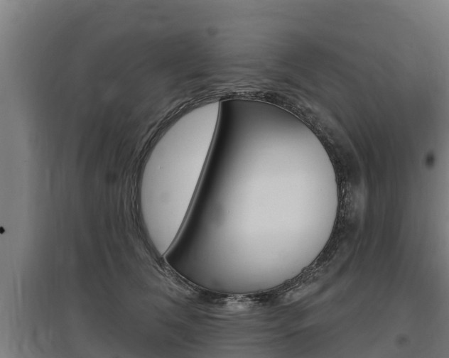 X0000097590612200802290751