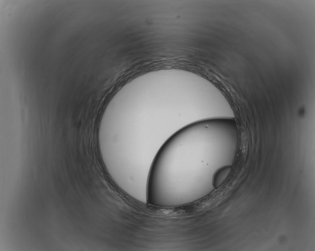 X0000097590613200802290751