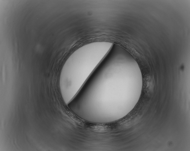 X0000097590615200802290751