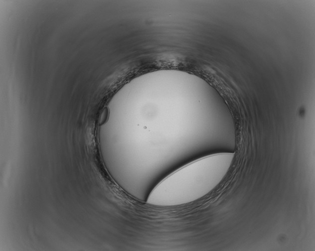 X0000097590616200802290751
