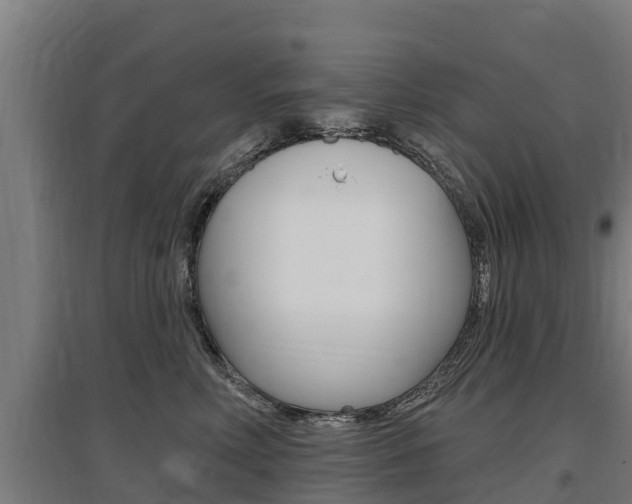 X0000097590618200802290751