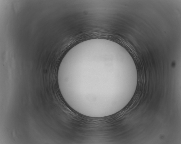 X0000097590621200802290751