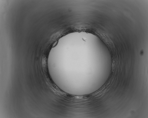 X0000097590623200802290751