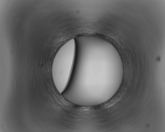 X0000097590624200802290751