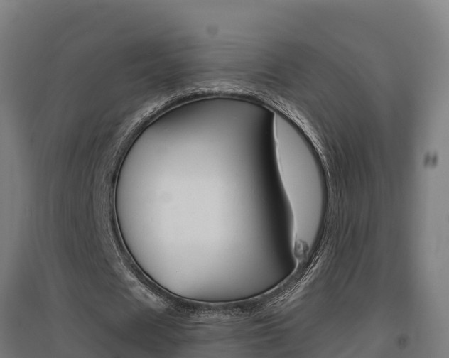 X0000097590625200802290750