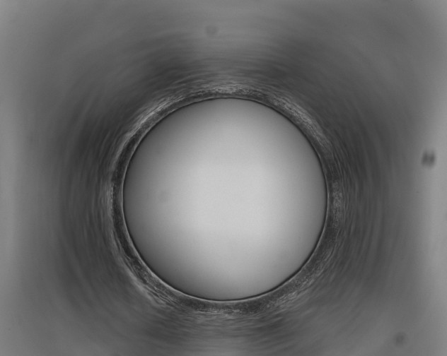 X0000097590626200802290750