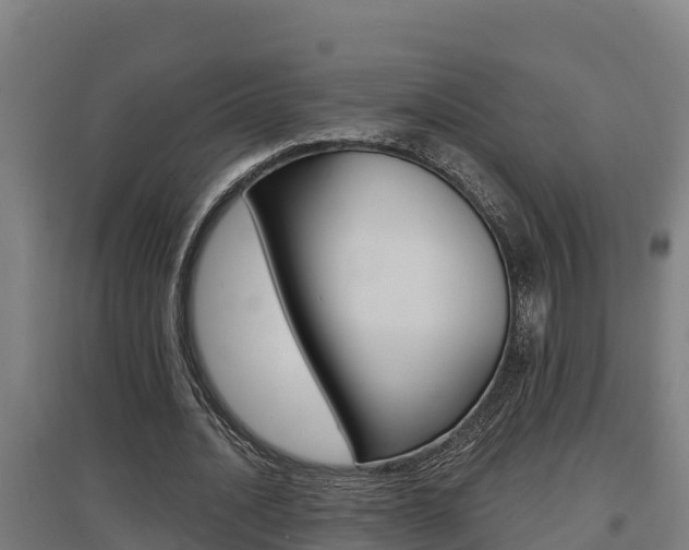 X0000097590628200802290750