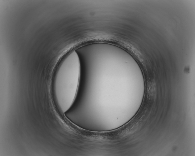 X0000097590629200802290750