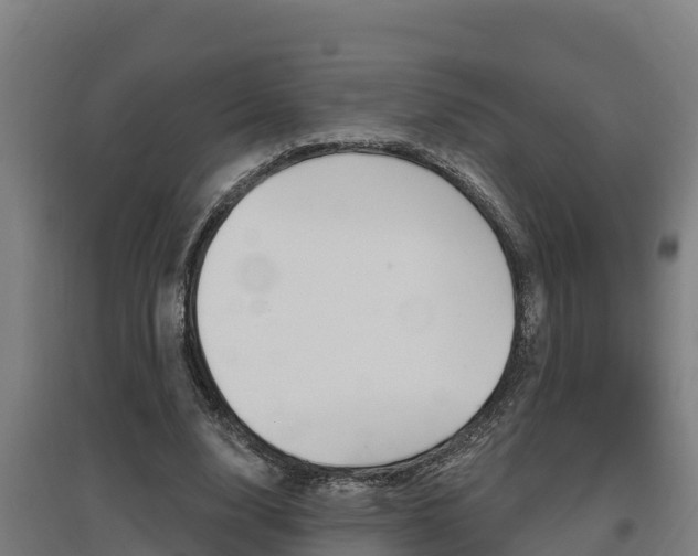 X0000097590632200802290750