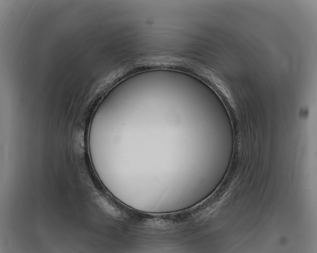X0000097590633200802290750