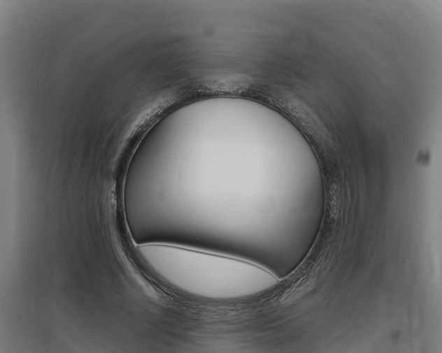 X0000097590634200802290750