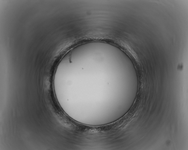 X0000097590635200802290750