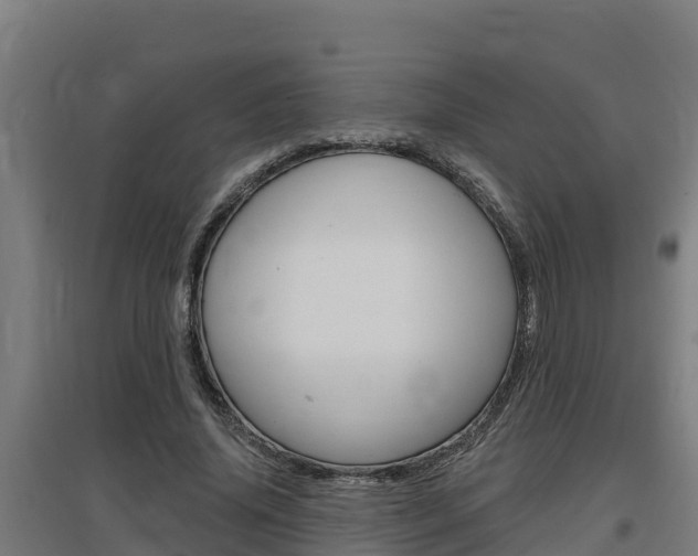 X0000097590636200802290750