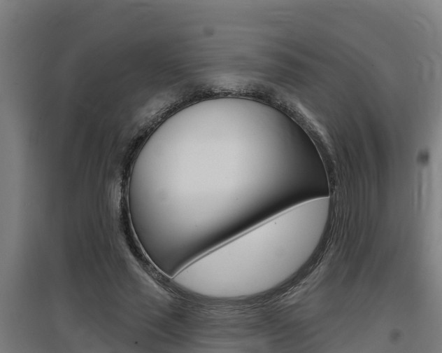 X0000097590637200802290750