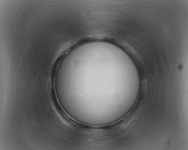 X0000097590638200802290750