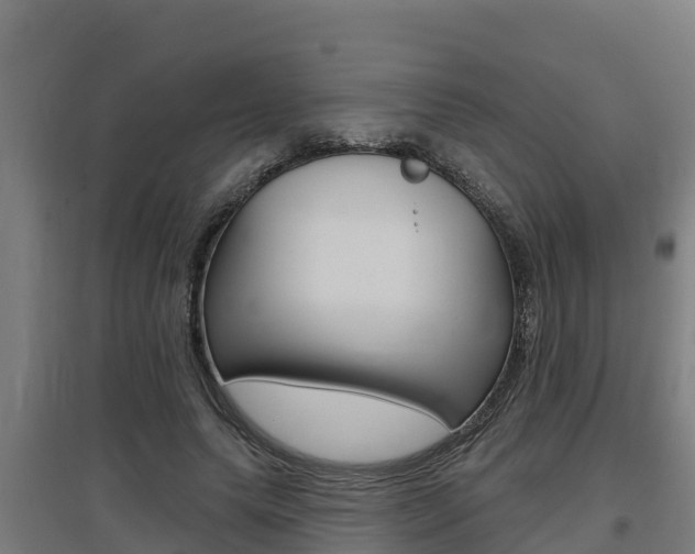 X0000097590639200802290750
