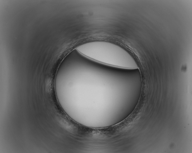 X0000097590641200802290750