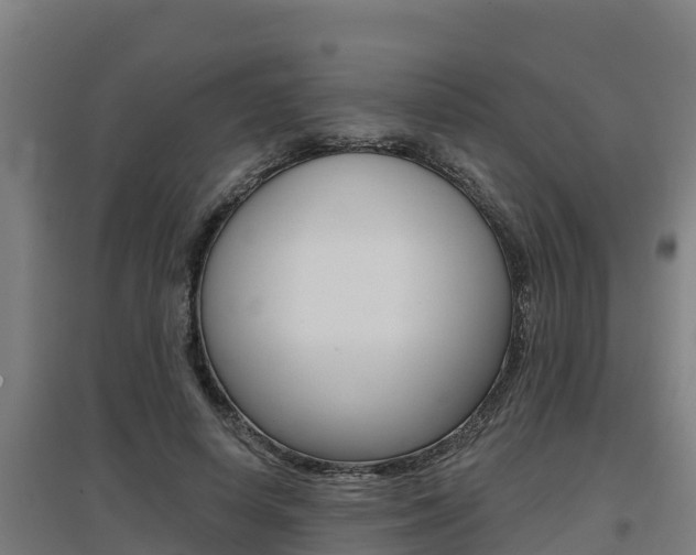 X0000097590642200802290750
