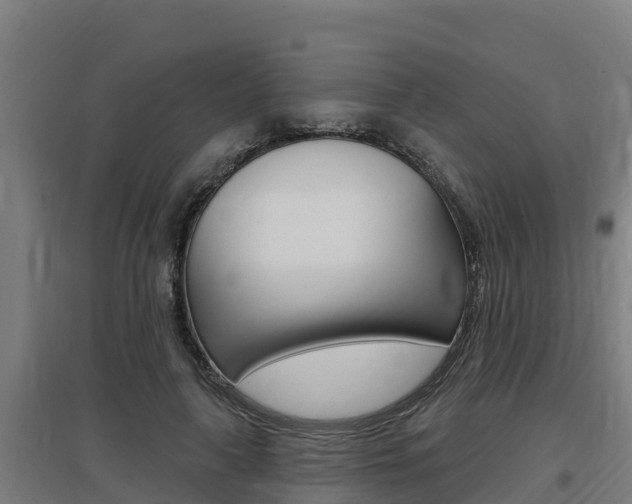 X0000097590643200802290750