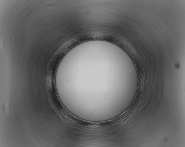 X0000097590644200802290750