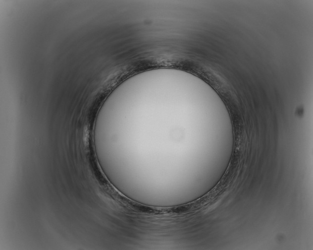 X0000097590646200802290750