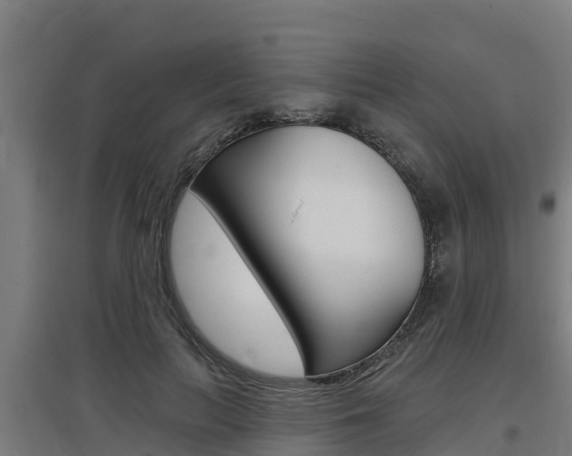 X0000097590647200802290750